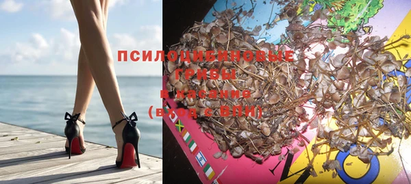 spice Балахна